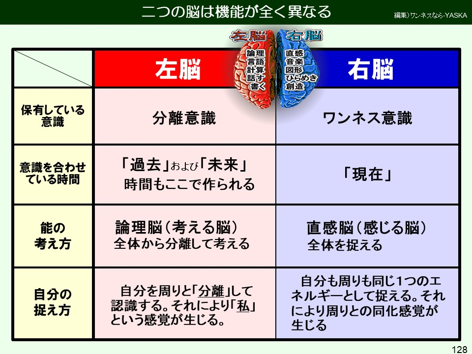 二つの脳は機能が全く異なる