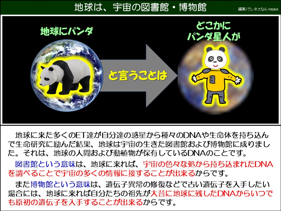 地球に来た多くのET達が自分達の惑星から種々のDNAや生命体を持ち込んで生命研究に励んだ結果、地球は宇宙の生きた図書館および博物館に成りました。それは、地球の人間および動植物が保有しているDNAのことです。
図書館という意味は、地球に来れば、宇宙の色々な処から持ち込まれたDNAを調べることで宇宙の多くの情報に接することが出来るからです。
また博物館という意味は、遺伝子異常の修復などで古い遺伝子を入手したい場合には、地球に来れば自分たちの祖先が大昔に地球に残したDNAからいつでも原初の遺伝子を入手することが出来るからです。