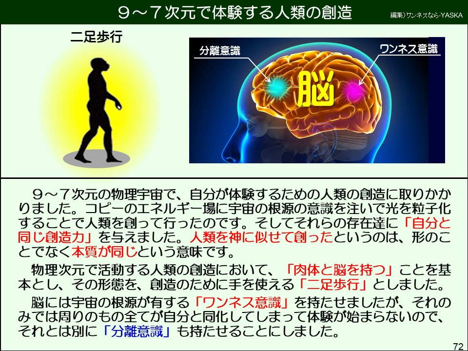 9~7次元の物理宇宙で、自分が体験するための人類の創造に取りかかりました。コピーのエネルギー場に宇宙の根源の意識を注いで光を粒子化することで人類を創って行ったのです。そしてそれらの存在達に「自分と同じ創造力」を与えました。人類を神に似せて創ったというのは、形のことでなく本質が同じという意味です。
物理次元で活動する人類の創造において、「肉体と脳を持つ」ことを基本とし、その形態を、創造のために手を使える「二足歩行」としました。
脳には宇宙の根源が有する「ワンネス意識」を持たせましたが、それのみでは周りのもの全てが自分と同化してしまって体験が始まらないので、 それとは別に「分離意識」も持たせることにしました。