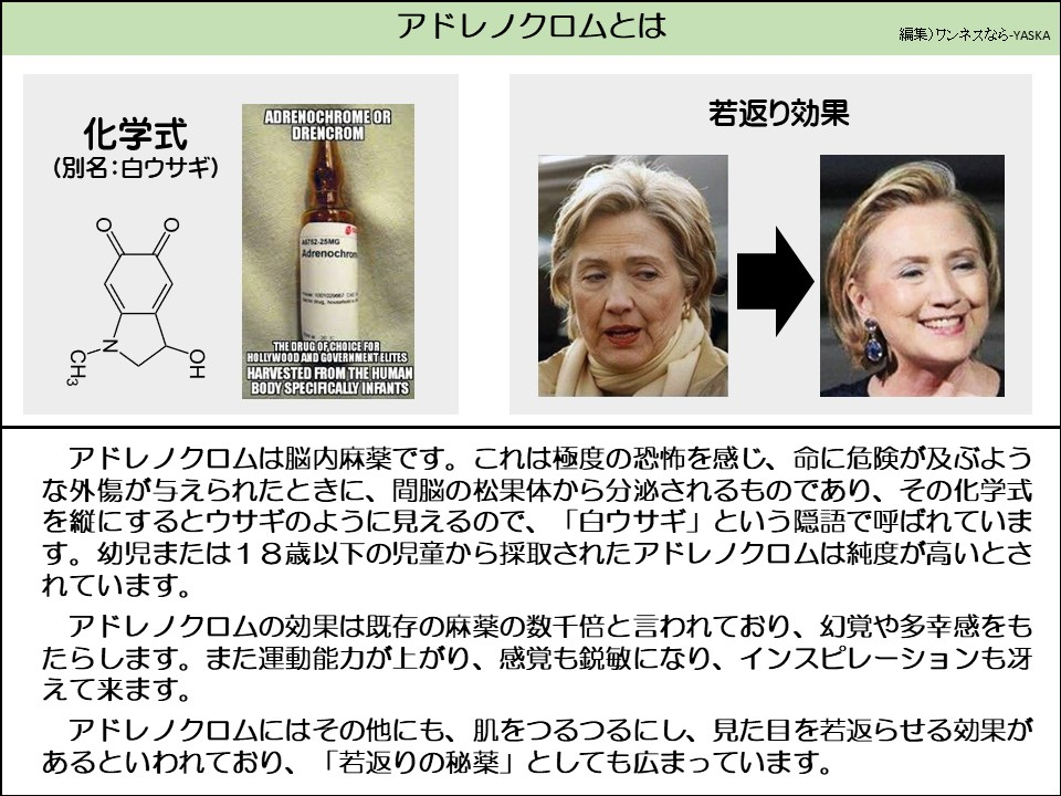アドレノクロムは脳内麻薬です。これは極度の恐怖を感じ、命に危険が及ぶような外傷が与えられたときに、間脳の松果体から分泌されるものであり、その化学式を縦にするとウサギのように見えるので、「白ウサギ」という隠語で呼ばれています。幼児または18歳以下の児童から採取されたアドレノクロムは純度が高いとされています。
アドレノクロムの効果は既存の麻薬の数千倍と言われており、幻覚や多幸感をもたらします。また運動能力が上がり、感覚も鋭敏になり、インスピレーションも冴えて来ます。
アドレノクロムにはその他にも、肌をつるつるにし、見た目を若返らせる効果があるといわれており、「若返りの秘薬」としても広まっています。