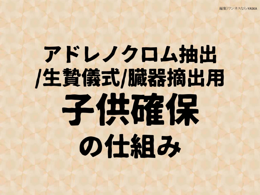 アドレノクロム抽出/生贄儀式/臓器摘出用
子供確保の仕組み