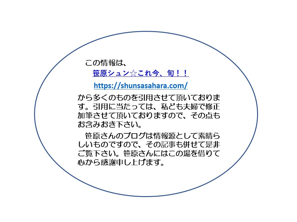 この情報は、 笹原シュン☆これ今、旬!! https://shunsasahara.com/

から多くのものを引用させて頂いております。引用に当たっては、私ども夫婦で修正加筆させて頂いておりますので、その点もお含みおき下さい。

笹原さんのブログは情報源として素晴らしいものですので、その記事も併せて是非ご覧下さい。笹原さんにはこの場を借りて心から感謝申し上げます。