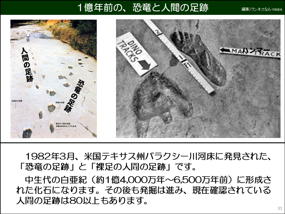 1982年3月、米国テキサス州パラクシー川河床に発見された、 「恐竜の足跡」と「裸足の人間の足跡」です。

中生代の白亜紀(約1億4,000万年~6,500万年前)に形成された化石になります。その後も発掘は進み、現在確認されている人間の足跡は80以上もあります。