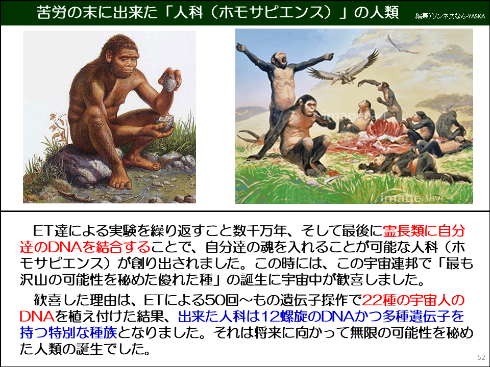 ET達による実験を繰り返すこと数千万年、そして最後に霊長類に自分達のDNAを結合することで、自分達の魂を入れることが可能な人科（ホモサピエンス）が創り出されました。この時には、この宇宙連邦で「最も沢山の可能性を秘めた優れた種」の誕生に宇宙中が歓喜しました。

歓喜した理由は、ETによる50回～もの遺伝子操作で22種の宇宙人の DNAを植え付けた結果、出来た人科は12螺旋のDNAかつ多種遺伝子を持つ特別な種族となりました。それは将来に向かって無限の可能性を秘めた人類の誕生でした。