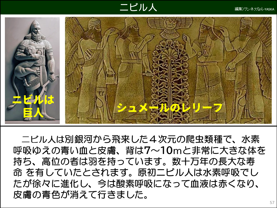 ニビル人は別銀河から飛来した4次元の爬虫類種で、水素呼吸ゆえの青い血と皮膚、背は7～10mと非常に大きな体を持ち、高位の者は羽を持っています。数十万年の長大な寿命を有していたとされます。原初二ビル人は水素呼吸でしたが徐々に進化し、今は酸素呼吸になって血液は赤くなり、 皮膚の青色が消えて行きました。