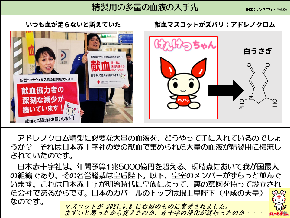 アドレノクロム精製に必要な大量の血液を、どうやって手に入れているのでしょうか？ それは日本赤十字社の愛の献血で集められた大量の血液が精製用に横流しされていたのです。

日本赤十字社は、年間予算1兆5000億円を超える、現時点において我が国最大の組織であり、その名誉総裁は皇后陛下。以下、皇室のメンバーがずらっと並んでいます。これは日本赤十字が明治時代に皇族によって、裏の意図を持って設立された会社であるからです。日本のカバールのトップは現上皇陛下（平成の天皇）なのです。

マスコットが 2021.5.8に右図のものに変更されました。 まずいと思ったから変えたのか、赤十字の浄化が終わったのか・・・
