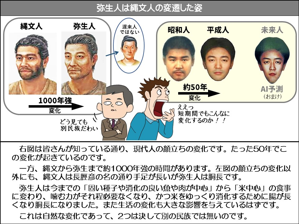 右図は皆さんが知っている通り、現代人の顔立ちの変化です。たった50年でこの変化が起きているのです。

一方、縄文から弥生まで約1000年強の時間があります。左図の顔立ちの変化以外にも、縄文人は長脛彦の名の通り手足が長いが弥生人は胴長です。

弥生人は今までの「固い種子や消化の良い魚や肉が中心」から「米中心」の食事に変わり、噛む力がそれ程必要なくなり、かつ米をゆっくり消化するために腸が長くなり胴長になりました。また生活の変化も大きな影響を与えているはずです。

これは自然な変化であって、2つは決して別の民族では無いのです。