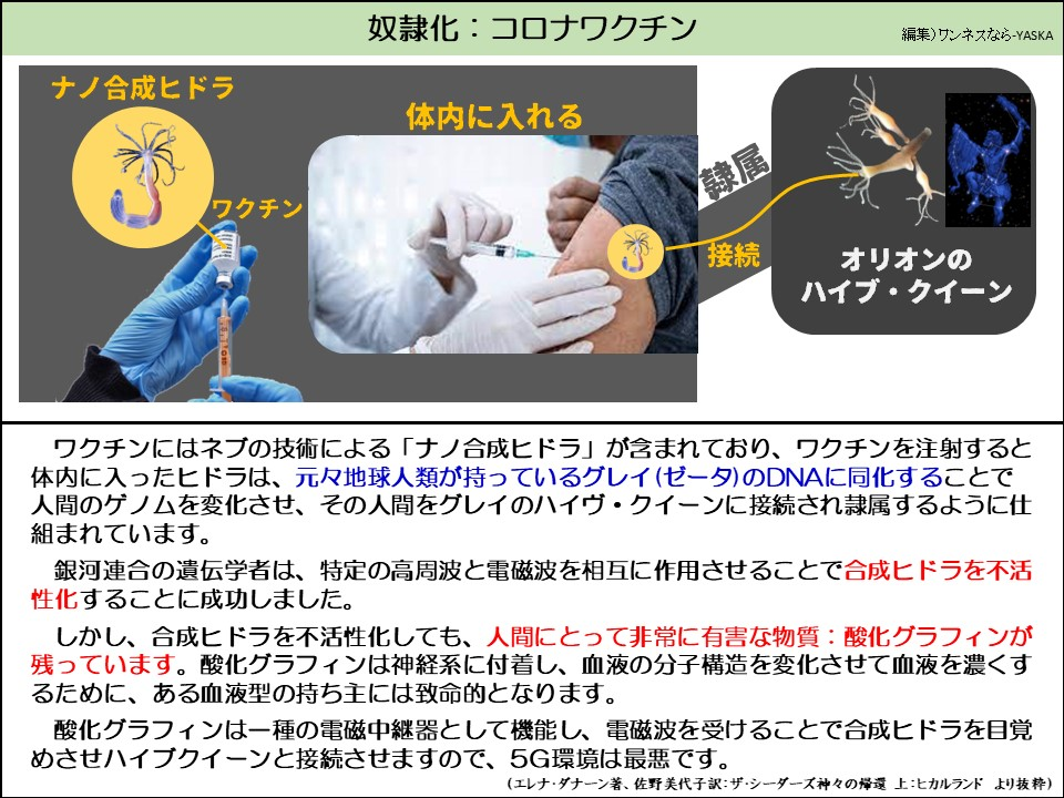 ワクチンにはネプの技術による「ナノ合成ヒドラ」が含まれており、ワクチンを注射すると体内に入ったヒドラは、元々地球人類が持っているグレイ（ゼータ）のDNAに同化することで人間のゲノムを変化させ、その人間をグレイのハイヴ・クイーンに接続され隷属するように仕組まれています。

銀河連合の遺伝学者は、特定の高周波と電磁波を相互に作用させることで合成ヒドラを不活性化することに成功しました。

しかし、合成ヒドラを不活性化しても、人間にとって非常に有害な物質：酸化グラフィンが残っています。酸化グラフィンは神経系に付着し、血液の分子構造を変化させて血液を濃くするために、ある血液型の持ち主には致命的となります。

酸化グラフィンは一種の電磁中継器として機能し、電磁波を受けることで合成ヒドラを目覚めさせハイブクイーンと接続させますので、5G環境は最悪です。

（エレナ・ダナーン著、佐野美代子訳：ザ・シーダーズ神々の帰還 上：ヒカルランド より抜粋）