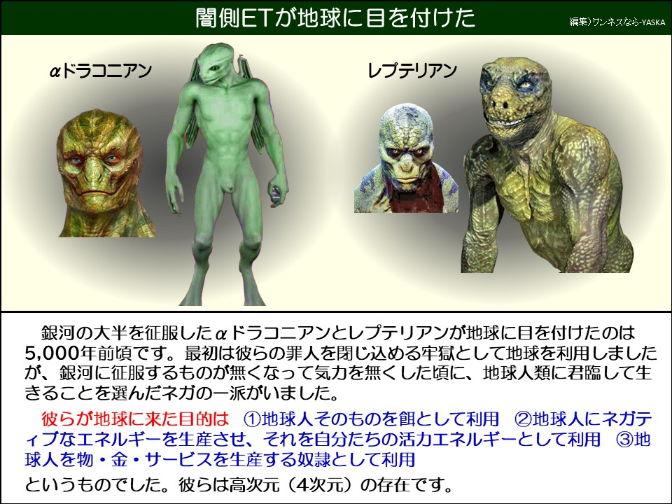 銀河の大半を征服したαドラコニアンとレプテリアンが地球に目を付けたのは5,000年前頃です。最初は彼らの罪人を閉じ込める牢獄として地球を利用しましたが、銀河に征服するものが無くなって気力を無くした頃に、地球人類に君臨して生きることを選んだネガの一派がいました。
彼らが地球に来た目的は ①地球人そのものを餌として利用 ②地球人にネガティブなエネルギーを生産させ、それを自分たちの活力エネルギーとして利用 ③地球人を物・金・サービスを生産する奴隷として利用
というものでした。彼らは高次元(4次元)の存在です。