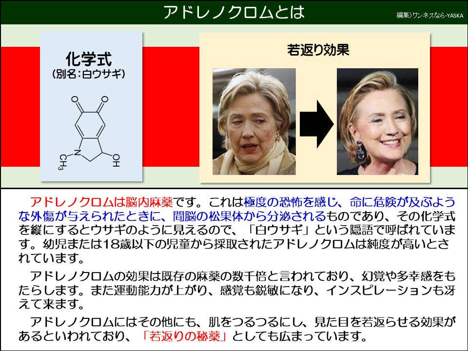 アドレノクロムは脳内麻薬です。これは極度の恐怖を感じ、命に危険が及ぶような外傷が与えられたときに、間脳の松果体から分泌されるものであり、その化学式を縦にするとウサギのように見えるので、「白ウサギ」という隠語で呼ばれています。幼児または18歳以下の児童から採取されたアドレノクロムは純度が高いとされています。
アドレノクロムの効果は既存の麻薬の数千倍と言われており、幻覚や多幸感をもたらします。また運動能力が上がり、感覚も鋭敏になり、インスピレーションも冴えて来ます。
アドレノクロムにはその他にも、肌をつるつるにし、見た目を若返らせる効果があるといわれており、「若返りの秘薬」としても広まっています。