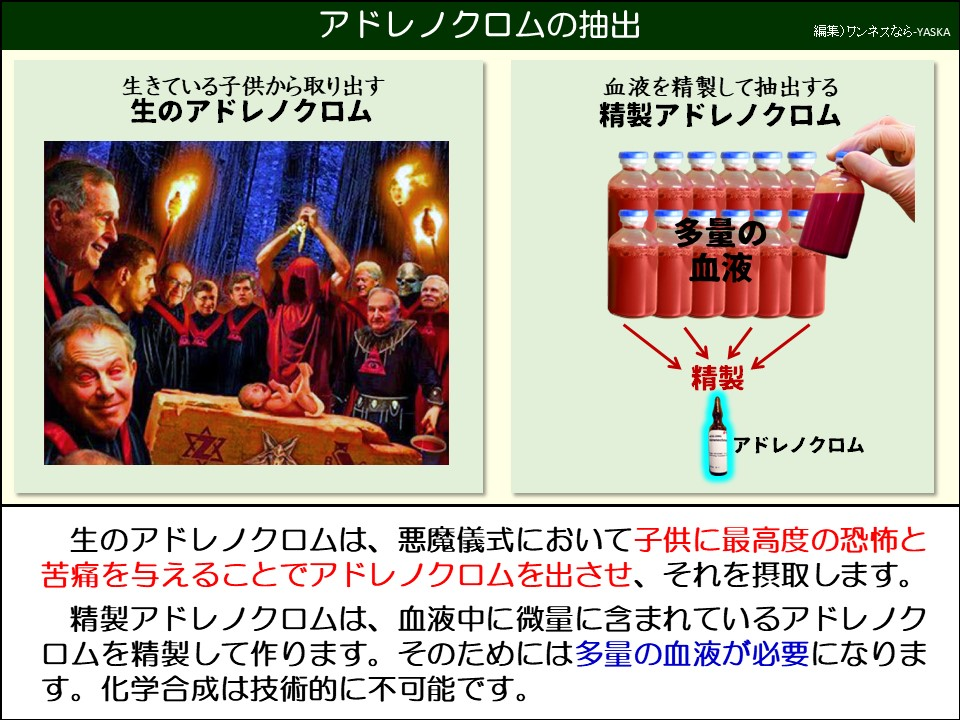 生のアドレノクロムは、悪魔儀式において子供に最高度の恐怖と苦痛を与えることでアドレノクロムを出させ、それを摂取します。
精製アドレノクロムは、血液中に微量に含まれているアドレノクロムを精製して作ります。そのためには多量の血液が必要になります。化学合成は技術的に不可能です。