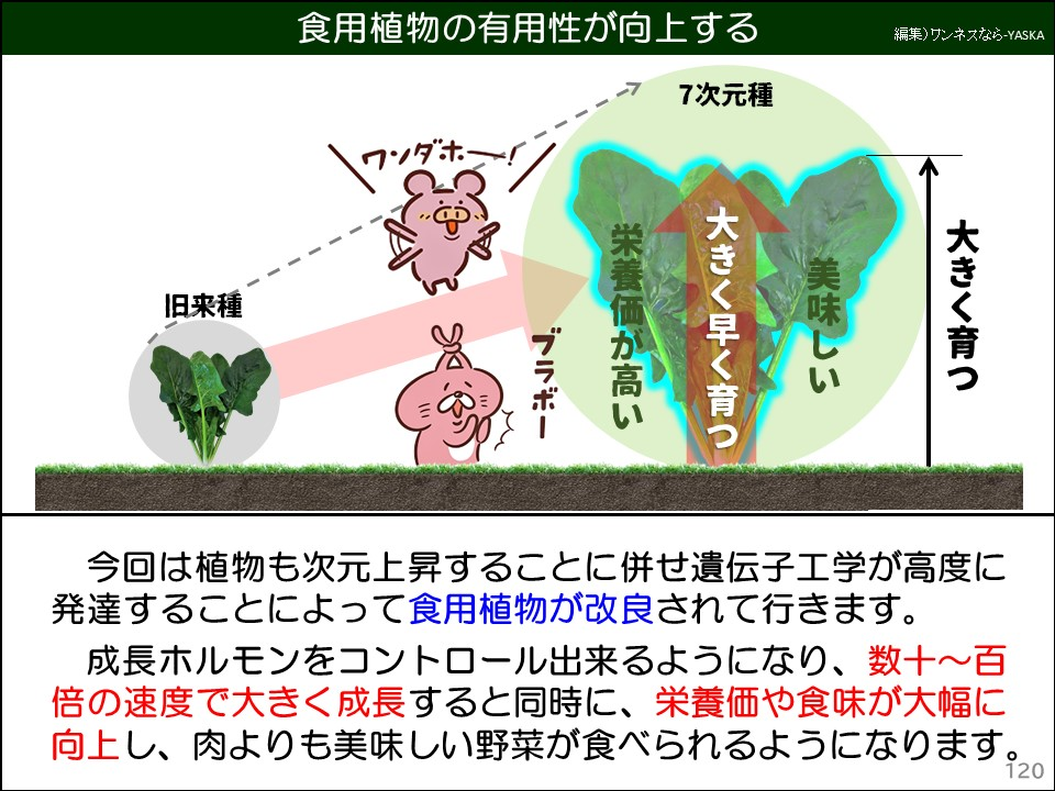 食用植物の有用性が向上する

7次元種

ワンダホ

旧来種

栄養価が高い

ブラボー

大きく早く育つ

美味しい

大きく育つ

今回は植物も次元上昇することに併せ遺伝子工学が高度に発達することによって食用植物が改良されて行きます。

成長ホルモンをコントロール出来るようになり、数十~百倍の速度で大きく成長すると同時に、栄養価や食味が大幅に向上し、肉よりも美味しい野菜が食べられるようになります。