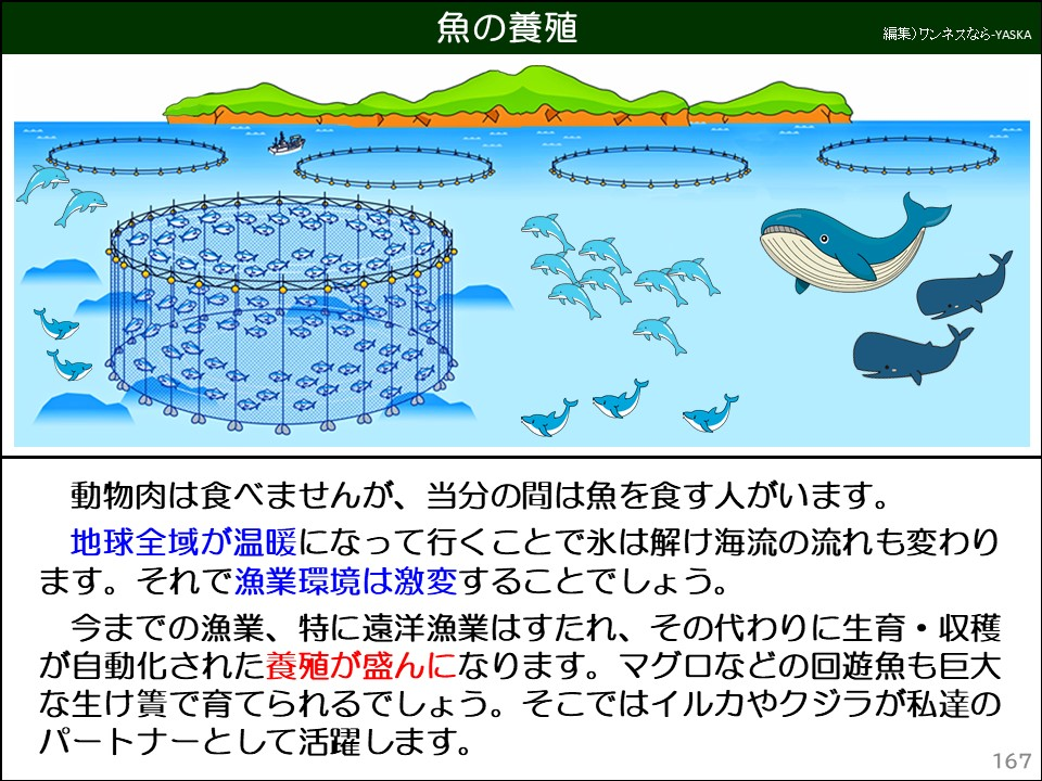 魚の養殖

動物肉は食べませんが、当分の間は魚を食す人がいます。

地球全域が温暖になって行くことで氷は解け海流の流れも変わります。それで漁業環境は激変することでしょう。

今までの漁業、特に遠洋漁業はすたれ、その代わりに生育・収穫が自動化された養殖が盛んになります。マグロなどの回遊魚も巨大な生け簀で育てられるでしょう。そこではイルカやクジラが私達のパートナーとして活躍します。