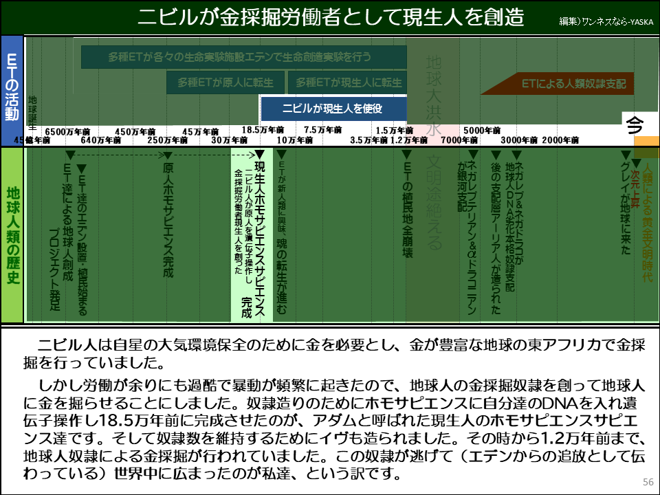 ニビルが金採掘労働者として現生人を創造

ETの活動

多種ETが各々の生命実験施設エテンで生命創造実験を行う

多種ETが原人に転生

多種ETが現生人に転生

ニビルが現生人を使役

地球大洪水

5000年前

ETによる人類奴隷支配

今

地球誕生牛

6500万年前

450万年前

45万年前

18.5万年前

7.5万年前

1.5万年前

3.5万年前1.2万年前

7000年前

3000年前 2000年前

・ETの植民地全崩壊

45億年前

640万年前

250万年前

30万年前

10万年前

▼ETが新人類に興味、魂の転生が進む

文明途絶える

が銀河支記 ▼ネガレプテリアン&&ドラコニアン

▼後の支配層アーリア人が造られた

地球人DNA劣化本格奴隷支配 ・ネガレプ&ネガドラコが

▼グレイが地球に来た

人類による黄金文明時代

地球人類の歴史

56

▼次元上昇

ニビル人は自星の大気環境保全のために金を必要とし、金が豊富な地球の東アフリカで金採掘を行っていました。

しかし労働が余りにも過酷で暴動が頻繁に起きたので、地球人の金採掘奴隷を創って地球人に金を掘らせることにしました。奴隷造りのためにホモサピエンスに自分達のDNAを入れ遺伝子操作し18.5万年前に完成させたのが、アダムと呼ばれた現生人のホモサピエンスサピエンス達です。そして奴隷数を維持するためにイヴも造られました。その時から1.2万年前まで、 地球人奴隷による金採掘が行われていました。この奴隷が逃げて(エデンからの追放として伝わっている)世界中に広まったのが私達、という訳です。

プロジェクト発足

ET達による地球人創成

▼ET達のエデン設置・植民始まる

・原人ホモサピエンス完成

金採掘労働者現生人を創った

・現生人ホモサピエンスサピエンス

→ニビル人が原人を遺伝子操作し 完成