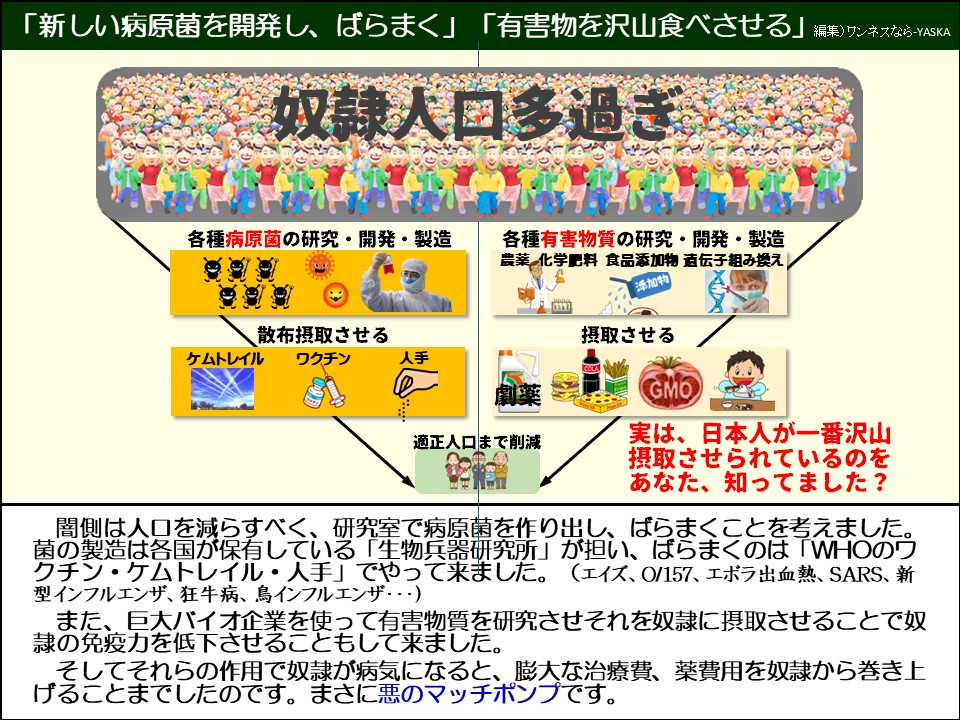 「新しい病原菌を開発し、ばらまく」「有害物を沢山食べさせる」

奴隷人口多過ぎ

各種病原菌の研究・開発・製造

各種有害物質の研究・開発・製造

農薬化学肥料 食品添加物 遺伝子組み換え

添加物

散布摂取させる

ケムトレイル

ワクチン

人手

劇薬

適正人口まで削減

摂取させる

GMO

実は、日本人が一番沢山摂取させられているのをあなた、知ってました?

闇側は人口を減らすべく、研究室で病原菌を作り出し、ばらまくことを考えました。 菌の製造は各国が保有している「生物兵器研究所」が担い、ばらまくのは「WHOのワクチン・ケムトレイル・人手」でやって来ました。(エイズ、O/157、エボラ出血熱、SARS、新型インフルエンザ、狂牛病、鳥インフルエンザ･･･)

また、巨大バイオ企業を使って有害物質を研究させそれを奴隷に摂取させることで奴隷の免疫力を低下させることもして来ました。

そしてそれらの作用で奴隷が病気になると、膨大な治療費、薬費用を奴隷から巻き上げることまでしたのです。まさに悪のマッチポンプです。