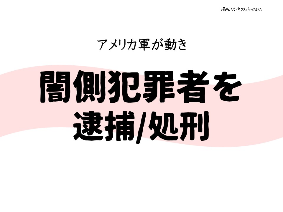 アメリカ軍が動き

闇側犯罪者を逮捕/処刑