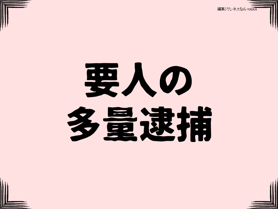要人の多量逮捕