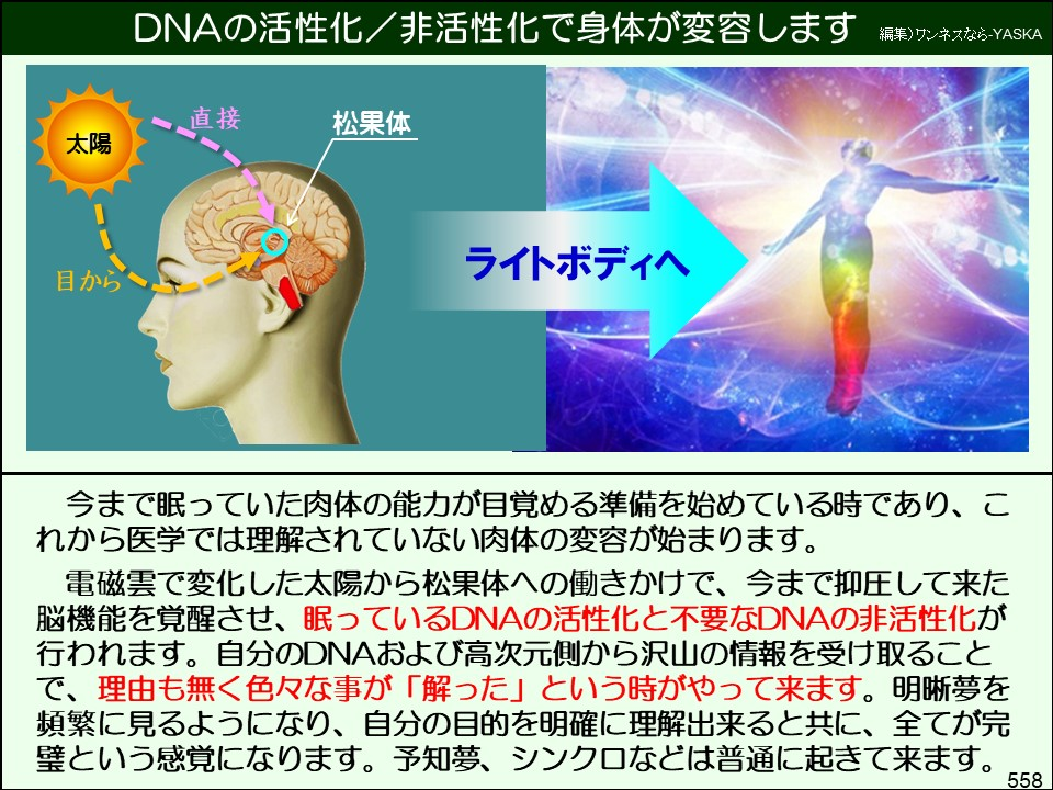 DNAの活性化/非活性化で身体が変容します

編集)ワンネスなら-YASKA

太陽

目から

直接

松果体

ライトボディへ

今まで眠っていた肉体の能力が目覚める準備を始めている時であり、これから医学では理解されていない肉体の変容が始まります。

電磁雲で変化した太陽から松果体への働きかけで、今まで抑圧して来た脳機能を覚醒させ、眠っているDNAの活性化と不要なDNAの非活性化が行われます。自分のDNAおよび高次元側から沢山の情報を受け取ることで、理由も無く色々な事が「解った」という時がやって来ます。明晰夢を頻繁に見るようになり、自分の目的を明確に理解出来ると共に、全てが完璧という感覚になります。予知夢、シンクロなどは普通に起きて来ます。

558