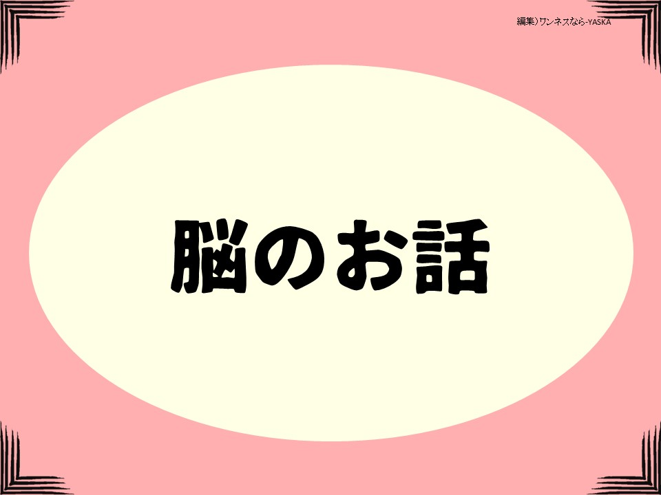 脳のお話
