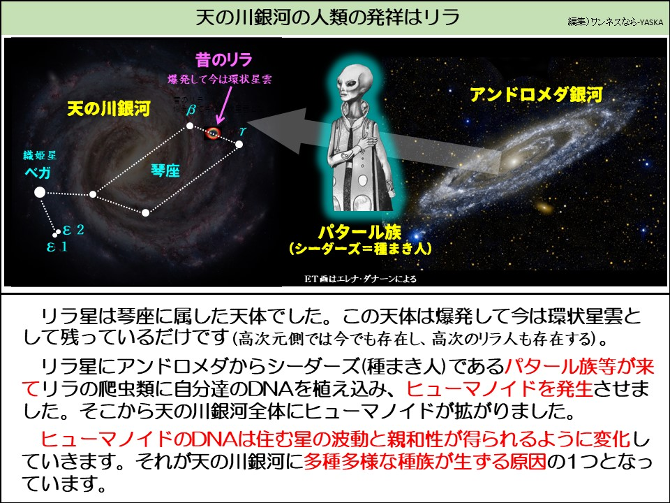 天の川銀河の人類の発祥はリラ

昔のリラ

爆発して今は環状星雲

天の川銀河

b

織姫星ベガ

シート

e1

アンドロメダ銀河

2

パタール族 (シーダーズ=種まき人)

ET画はエレナ・ダナーンによる

リラ星は琴座に属した天体でした。この天体は爆発して今は環状星雲として残っているだけです(高次元側では今でも存在し、高次のリラ人も存在する)。

リラ星にアンドロメダからシーダーズ(種まき人)であるパタール族等が来てリラの爬虫類に自分達のDNAを植え込み、ヒューマノイドを発生させました。そこから天の川銀河全体にヒューマノイドが拡がりました。

ヒューマノイドのDNAは住む星の波動と親和性が得られるように変化していきます。それが天の川銀河に多種多様な種族が生ずる原因の1つとなっています。