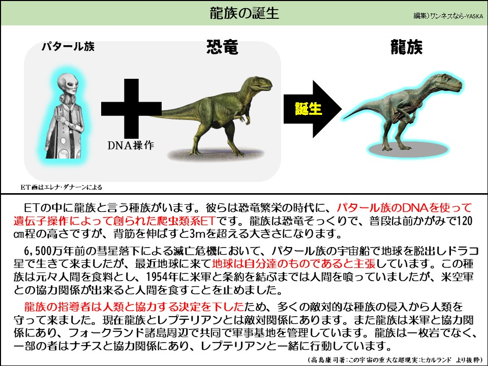 龍族の誕生

パタール族

恐竜

ドラゴン一族

+

DNA操作

誕生

ET画はエレナ・ダナーンによる

ETの中に龍族と言う種族がいます。彼らは恐竜繁栄の時代に、パタール族のDNAを使って遺伝子操作によって創られた爬虫類系ETです。龍族は恐竜そっくりで、普段は前かがみで120cm程の高さですが、背筋を伸ばすと3mを超える大きさになります。

6,500万年前の彗星落下による滅亡危機において、パタール族の宇宙船で地球を脱出しドラコ星で生きて来ましたが、最近地球に来て地球は自分達のものであると主張しています。この種族は元々人間を食料とし、1954年に米軍と条約を結ぶまでは人間を喰っていましたが、米空軍との協力関係が出来ると人間を食すことを止めました。

龍族の指導者は人類と協力する決定を下したため、多くの敵対的な種族の侵入から人類を守って来ました。現在龍族とレプテリアンとは敵対関係にあります。また龍族は米軍と協力関係にあり、フォークランド諸島周辺で共同で軍事基地を管理しています。龍族は一枚岩でなく、 一部の者はナチスと協力関係にあり、レプテリアンと一緒に行動しています。

(高島康司著:この宇宙の重大な超現実: ヒカルランドより抜粋)
