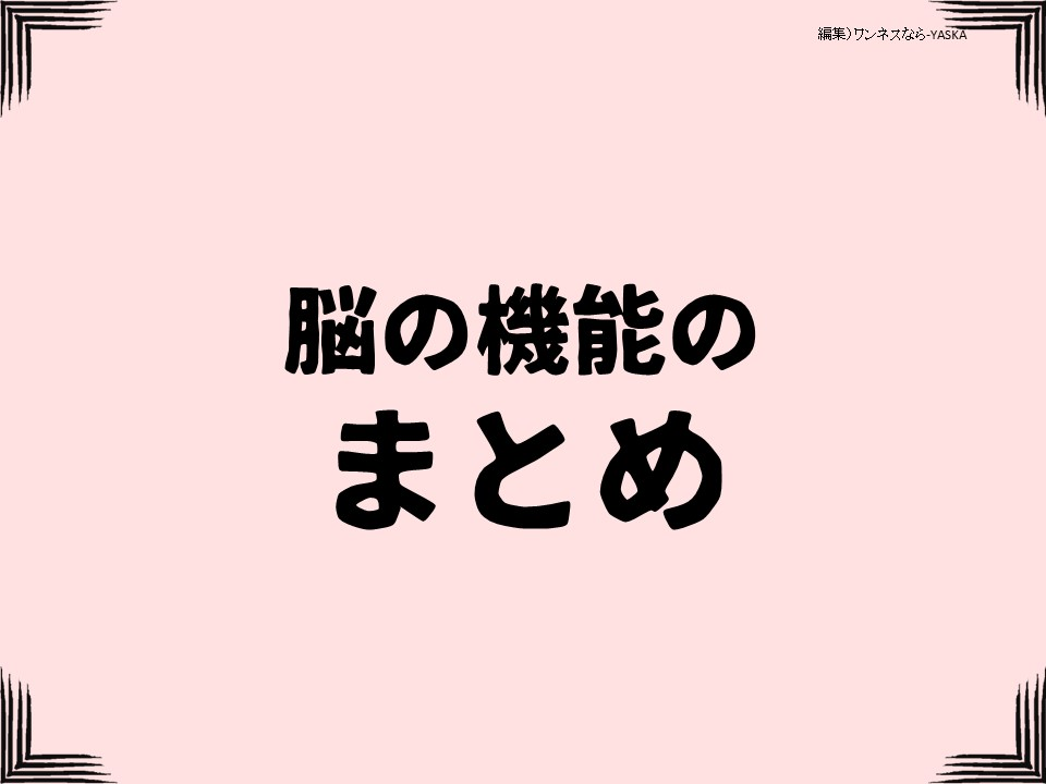 脳の機能のまとめ