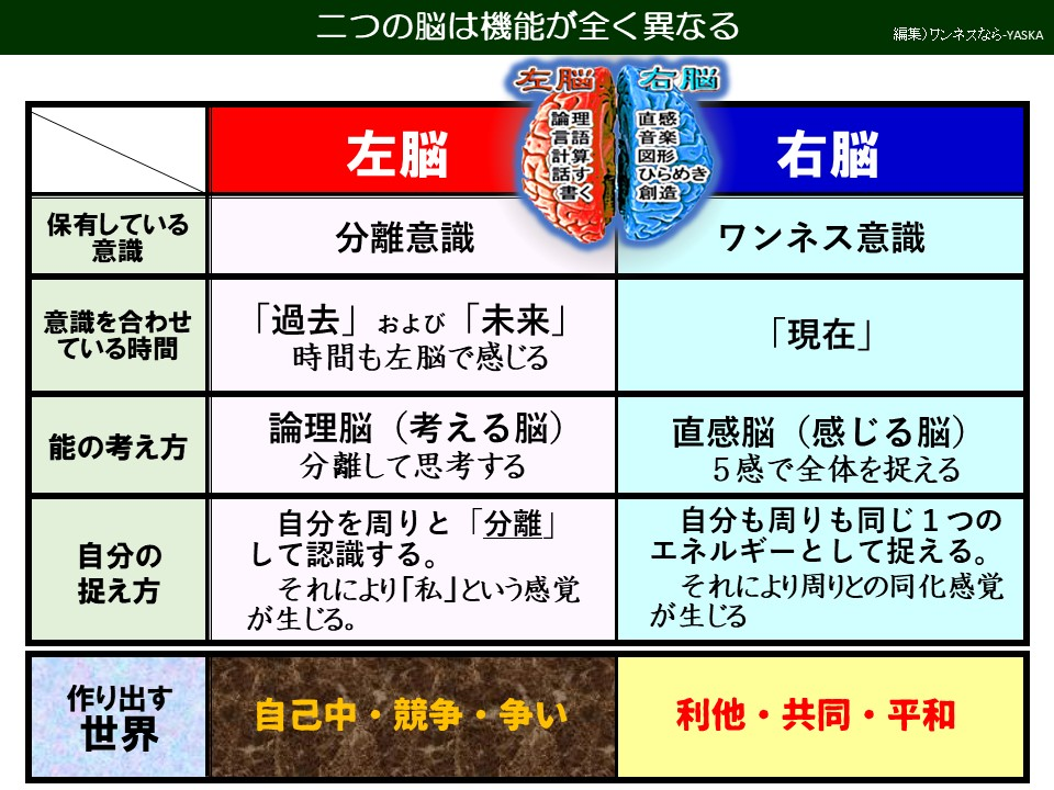 二つの脳は機能が全く異なる

左脳

保有している意識

意識を合わせている時間

能の考え方

自分の捉え方

作り出す世界世界

左脳

右脳

論理

理語算すく書く

分離意識

ヤン・ジファについて

直感

音楽

図形ひらめき

創造

右脳

ワンネス意識

「過去」および「未来」 時間も左脳で感じる

論理脳(考える脳) 分離して思考する

自分を周りと「分離」 して認識する。

それにより「私」という感覚が生じる。

「現在」

直感脳(感じる脳) 5感で全体を捉える

自分も周りも同じ1つのエネルギーとして捉える。

それにより周りとの同化感覚が生じる

自己中・競争・争い

利他・共同・平和