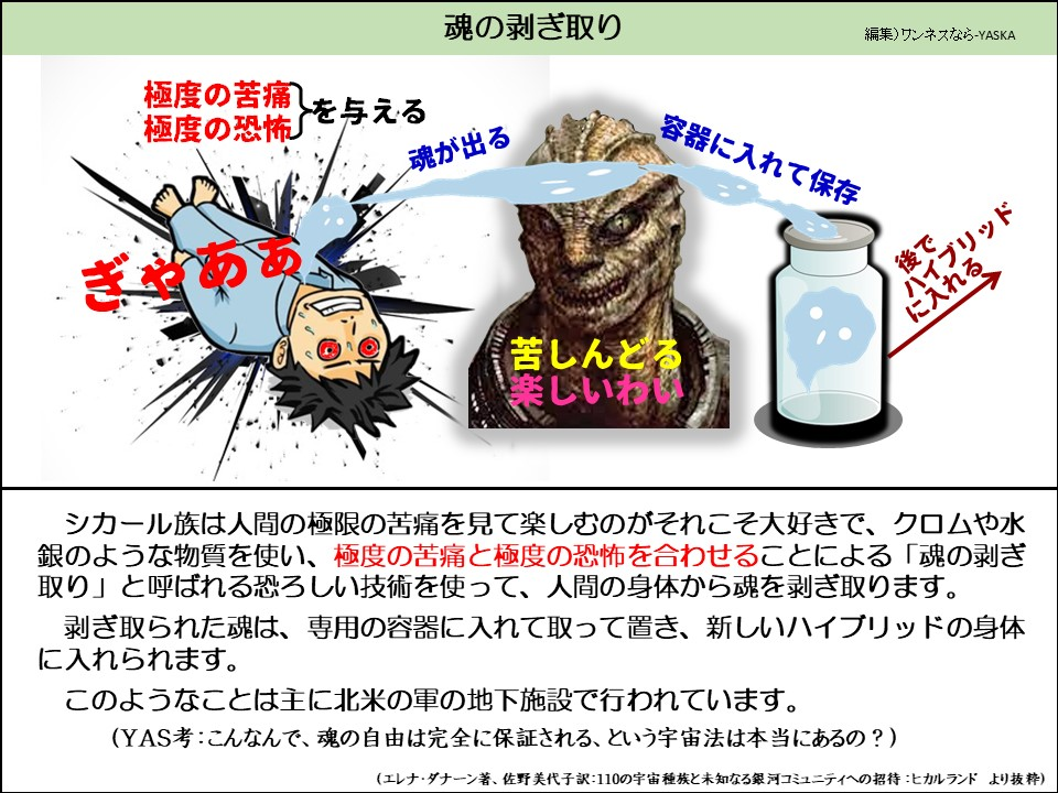 魂の剥ぎ取り

極度の苦痛
極度の恐怖
を与える

魂が出る

容器に入れて保存

後でハイブリッドに入れる

苦しんどる楽しいわい

シカール族は人間の極限の苦痛を見て楽しむのがそれこそ大好きで、クロムや水銀のような物質を使い、極度の苦痛と極度の恐怖を合わせることによる「魂の剥ぎ取り」と呼ばれる恐ろしい技術を使って、人間の身体から魂を剥ぎ取ります。

剥ぎ取られた魂は、専用の容器に入れて取って置き、新しいハイブリッドの身体に入れられます。

このようなことは主に北米の軍の地下施設で行われています。

(YAS考:こんなんで、魂の自由は完全に保証される、という宇宙法は本当にあるの?)

(エレナ・ダナーン著、佐野美代子訳:110の宇宙種族と未知なる銀河コミュニティへの招待:ヒカルランド より抜粋)