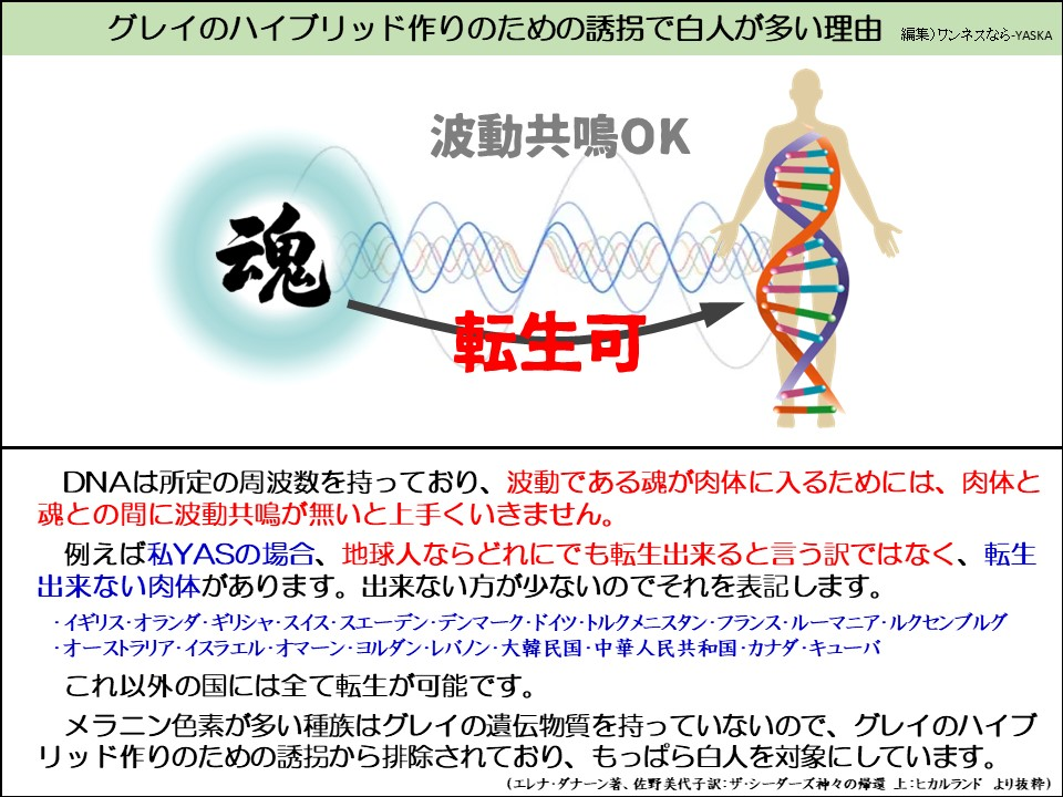 グレイのハイブリッド作りのための誘拐で白人が多い理由

波動共鳴OK

魂

転生可

DNAは所定の周波数を持っており、波動である魂が肉体に入るためには、肉体と魂との間に波動共鳴が無いと上手くいきません。

例えば私YASの場合、地球人ならどれにでも転生出来ると言う訳ではなく、転生出来ない肉体があります。出来ない方が少ないのでそれを表記します。

・イギリス・オランダ・ギリシャ・スイス・スエーデン・デンマーク・ドイツ・トルクメニスタン・フランス・ルーマニア・ルクセンブルグ ・オーストラリア・イスラエル・オマーン・ヨルダン・レバノン・大韓民国・中華人民共和国・カナダ・キューバ

これ以外の国には全て転生が可能です。

メラニン色素が多い種族はグレイの遺伝物質を持っていないので、グレイのハイブリッド作りのための誘拐から排除されており、もっぱら白人を対象にしています。

(エレナ・ダナーン著、佐野美代子訳:ザ・シーダーズ神々の帰還 上:ヒカルランド より抜粋)