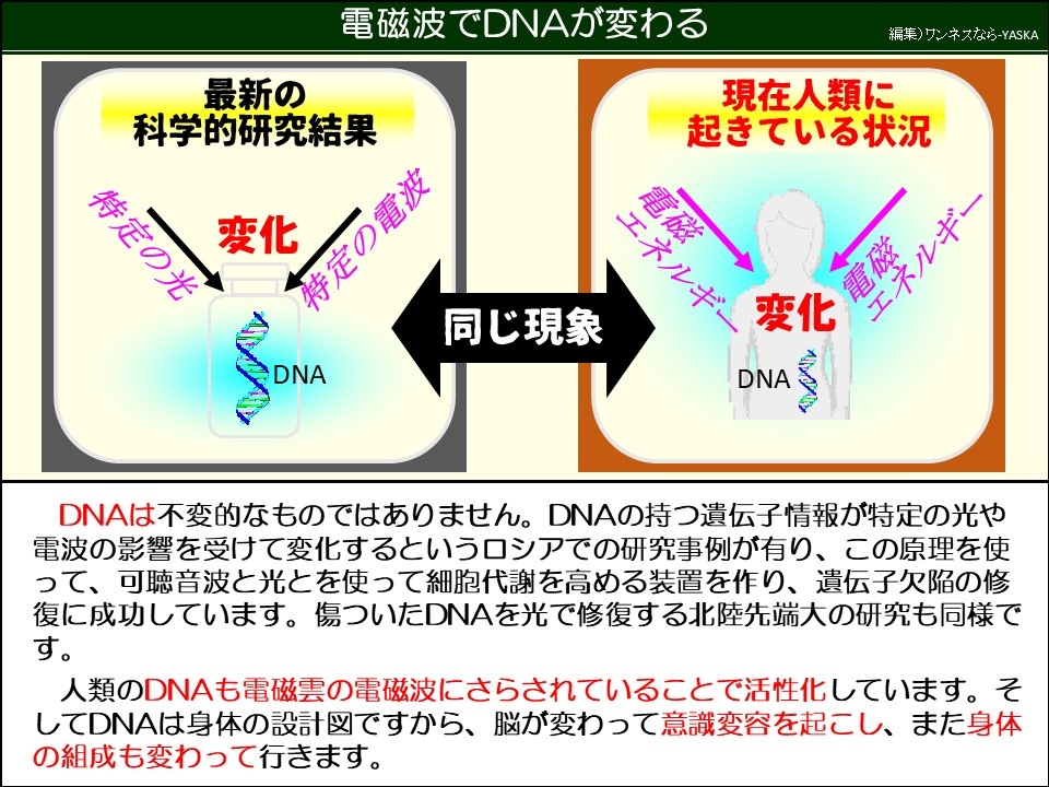 電磁波でDNAが変わる

最新の科学的研究結果

現在人類に起きている状況

特定の光

変化

特定の電波

DNA

同じ現象

エネルギー

変化

電磁

エネルギー

DNA

DNAは不変的なものではありません。DNAの持つ遺伝子情報が特定の光や電波の影響を受けて変化するというロシアでの研究事例が有り、この原理を使って、可聴音波と光とを使って細胞代謝を高める装置を作り、遺伝子欠陥の修復に成功しています。傷ついたDNAを光で修復する北陸先端大の研究も同様です。

人類のDNAも電磁雲の電磁波にさらされていることで活性化しています。そしてDNAは身体の設計図ですから、脳が変わって意識変容を起こし、また身体の組成も変わって行きます。