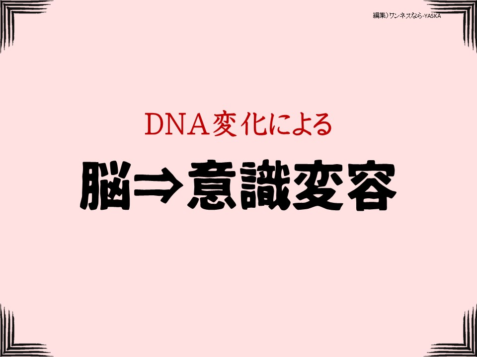 DNA変化による

脳⇒意識変容
