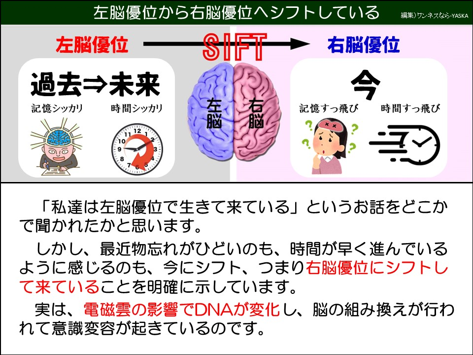 左脳優位から右脳優位へシフトしている

左脳優位

SIFT

右脳優位

過去⇒未来

記憶シッカリ

時間シッカリ

10 9 3 8

765

左脳

右脳

今

記憶すっ飛び

時間すっ飛び

「私達は左脳優位で生きて来ている」というお話をどこかで聞かれたかと思います。

しかし、最近物忘れがひどいのも、時間が早く進んでいるように感じるのも、今にシフト、つまり右脳優位にシフトして来ていることを明確に示しています。

実は、電磁雲の影響でDNAが変化し、脳の組み換えが行われて意識変容が起きているのです。