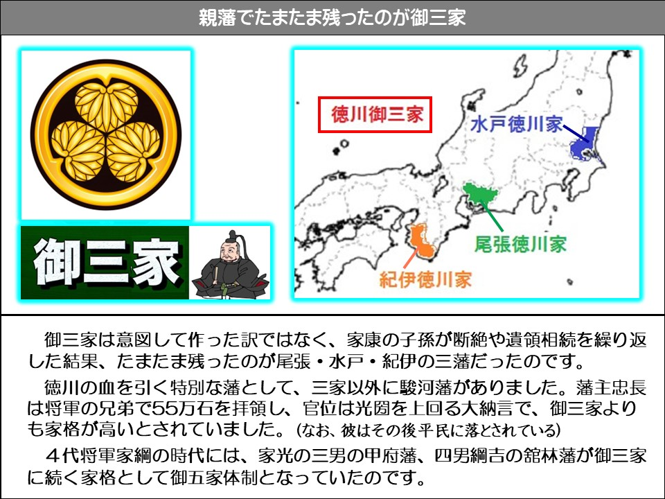 親藩でたまたま残ったのが御三家

徳川御三家

水戸徳川家

御三家

尾張徳川家

紀伊徳川家

御三家は意図して作った訳ではなく、家康の子孫が断絶や遺領相続を繰り返した結果、たまたま残ったのが尾張・水戸・紀伊の三藩だったのです。

徳川の血を引く特別な藩として、三家以外に駿河藩がありました。藩主忠長は将軍の兄弟で55万石を拝領し、官位は光圀を上回る大納言で、御三家よりも家格が高いとされていました。(なお、彼はその後平民に落とされている)

4代将軍家綱の時代には、家光の三男の甲府藩、四男綱吉の館林藩が御三家に続く家格として御五家体制となっていたのです。
