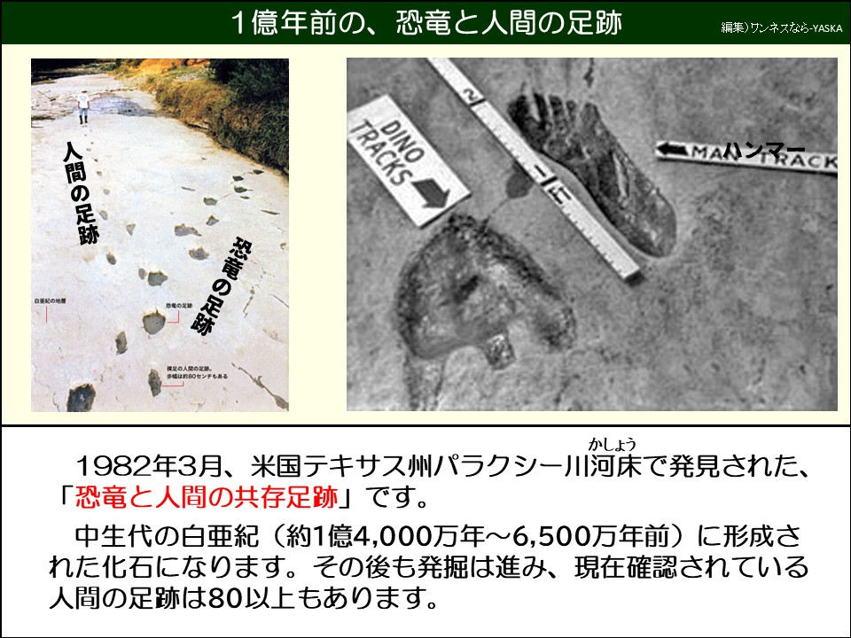 1億年前の、恐竜と人間の足跡

人間の足跡

恐竜の足跡

マラック

恐竜の足跡

裸足の人間の足跡。 歩幅は約80センチもある

1982年3月、米国テキサス州パラクシー川河床(かしょう)で発見された、

「恐竜と人間の共存足跡」です。

中生代の白亜紀(約1億4,000万年~6,500万年前)に形成された化石になります。その後も発掘は進み、現在確認されている

人間の足跡は80以上もあります。