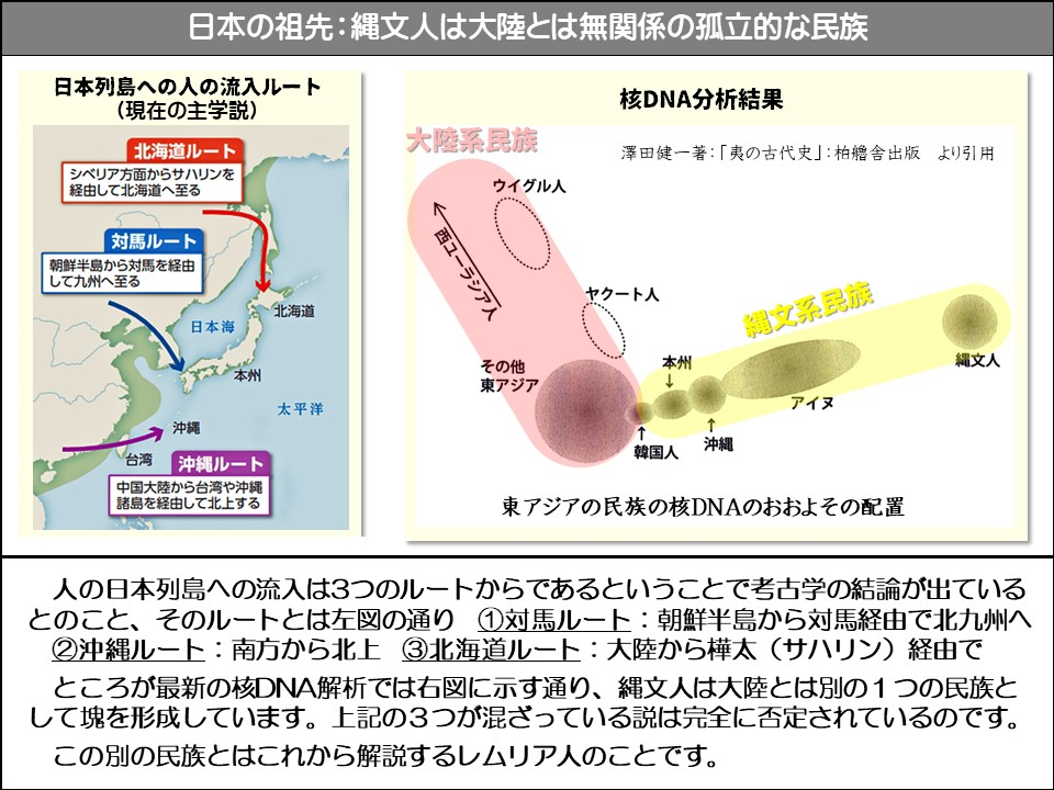 日本の祖先:縄文人は大陸とは無関係の孤立的な民族

日本列島への人の流入ルート (現在の主学説)

北海道ルート

シベリア方面からサハリンを経由して北海道へ至る

対馬ルート

朝鮮半島から対馬を経由 して九州へ至る

日本海

北海道

本州

太平洋

沖縄

台湾

沖縄ルート

中国大陸から台湾や沖縄諸島を経由して北上する

大陸民族

ウイグル人

西ユーラシア人

その他東アジア

韓国人

↑

核DNA分析結果

澤田健一著:「夷の古代史」:柏艦舎出版 より引用

ヤクート人

本州

↓

沖縄

縄文系民族

縄文人

アイヌ

↑

東アジアの民族の核DNAのおおよその配置

人の日本列島への流入は3つのルートからであるということで考古学の結論が出ているとのこと、そのルートとは左図の通り ①対馬ルート:朝鮮半島から対馬経由で北九州へ ②沖縄ルート:南方から北上 ③北海道ルート: 大陸から樺太 (サハリン)経由で

ところが最新の核DNA解析では右図に示す通り、縄文人は大陸とは別の1つの民族として塊を形成しています。上記の3つが混ざっている説は完全に否定されているのです。

この別の民族とはこれから解説するレムリア人のことです。