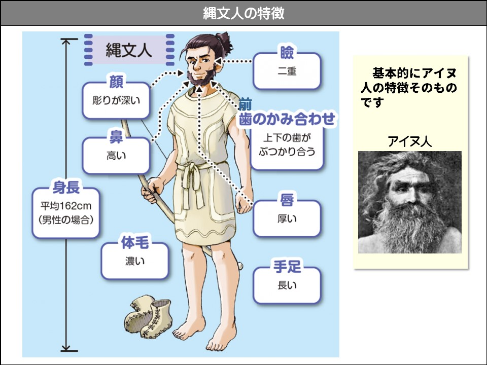 縄文人の特徴

縄文人

二重

彫りが深い

高い

前

歯のかみ合わせ

上下の歯がぶつかり合う

基本的にアイヌ人の特徴そのものです

アイヌ人

身長

平均162cm (男性の場合)

体毛濃い

唇

厚い

手足

長い