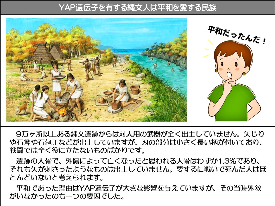 YAP遺伝子を有する縄文人は平和を愛する民族

平和だったんだ!

9万ヶ所以上ある縄文遺跡からは対人用の武器が全く出土していません。矢じりや石斧や石包丁などが出土していますが、刃の部分は小さく長い柄が付いており、 戦闘では全く役に立たないものばかりです。

遺跡の人骨で、外傷によって亡くなったと思われる人骨はわずか1.3%であり、 それも矢が刺さったようなものは出土していません。要するに戦いで死んだ人はほとんどいないと考えられます。

平和であった理由はYAP遺伝子が大きな影響を与えていますが、その当時外敵がいなかったのも一つの要因でした。