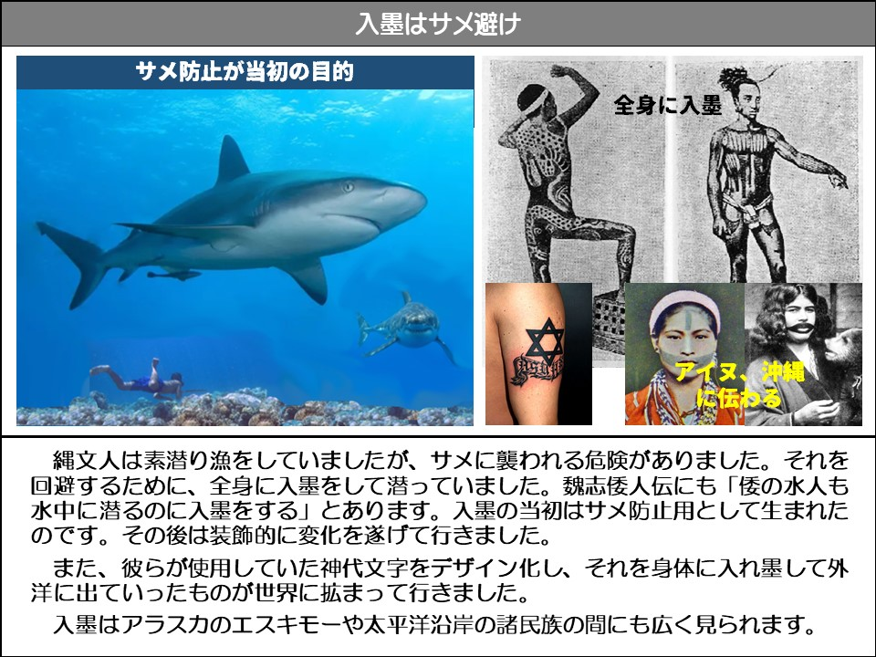 入墨はサメ避け

サメ防止が当初の目的

全身に入墨

アイヌ、沖縄に伝わる

縄文人は素潜り漁をしていましたが、サメに襲われる危険がありました。それを回避するために、全身に入墨をして潜っていました。魏志倭人伝にも「倭の水人も水中に潜るのに入墨をする」とあります。入墨の当初はサメ防止用として生まれたのです。その後は装飾的に変化を遂げて行きました。

また、彼らが使用していた神代文字をデザイン化し、それを身体に入れ墨して外洋に出ていったものが世界に拡まって行きました。

入墨はアラスカのエスキモーや太平洋沿岸の諸民族の間にも広く見られます。