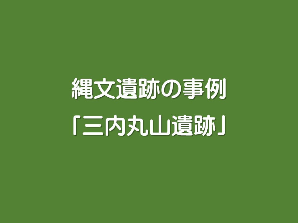 縄文遺跡の事例

「三内丸山遺跡」