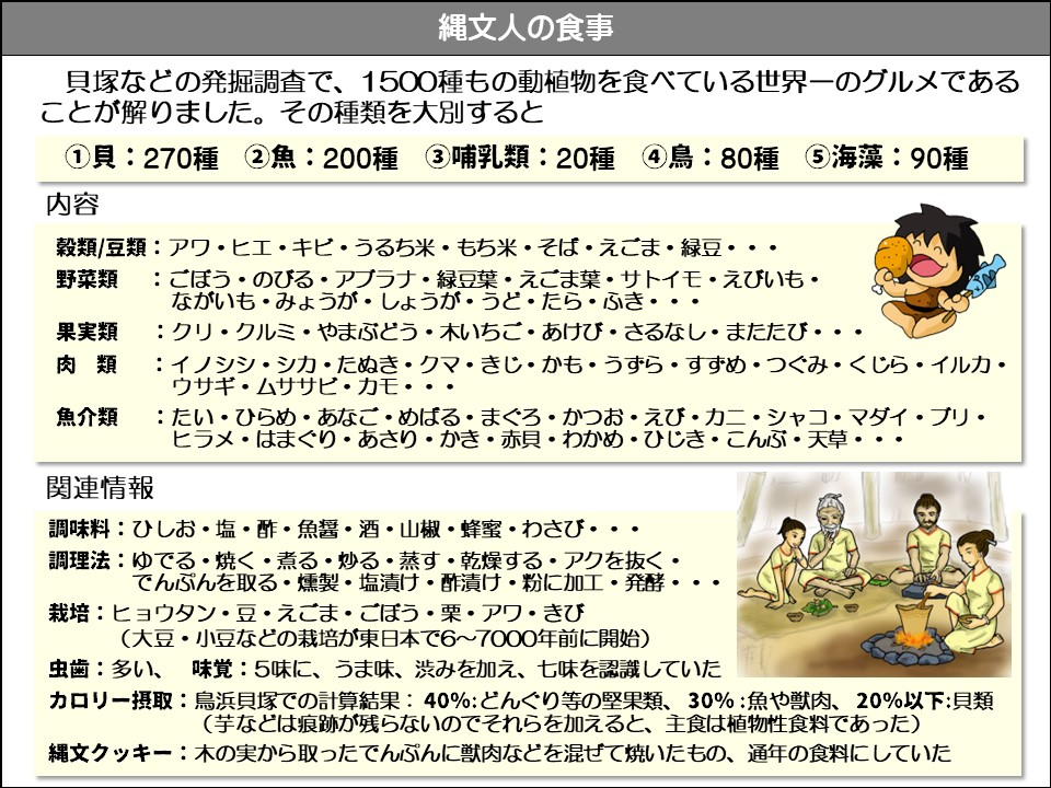 縄文人の食事

貝塚などの発掘調査で、1500種もの動植物を食べている世界一のグルメであることが解りました。その種類を大別すると

①貝:270種

②魚:200種

③哺乳類：20種

④鳥:80種

⑤海藻:90種

内容

穀類/豆類:アワ・ヒエ・キビ・うるち米・もち米・そば・えごま・緑豆・・・

野菜類: ごぼう・のびる・アブラナ・緑豆葉・えごま葉・サトイモ・えびいも・ ながいも・みょうが・しょうが・うど・たら・ふき・・・

果実類:クリ・クルミ・やまぶどう・木いちご・あけび・さるなし・またたび・・・

肉類: イノシシ・シカ・たぬき・クマ・きじ・かも・うずら・すずめ・つぐみ・くじら・イルカ・ ウサギ・ムササビ・カモ・・

魚介類: たい・ひらめ・あなご・めばる・まぐろ・かつお・えび・カニ・シャコ・マダイ・ブリ・ ヒラメ・はまぐり・あさり・かき・赤貝・わかめ・ひじき・こんぶ・天草・・・

関連情報

調味料: ひしお・塩・酢・魚醤・酒・山椒・蜂蜜・わさび・・・

調理法:ゆでる・焼く・煮る・炒る・蒸す・乾燥する・アクを抜く・ でんぷんを取る・燻製・塩漬け・酢漬け・粉に加工・発酵・・・

栽培: ヒョウタン・豆・えごま・ごぼう・栗・アワ・きび (大豆・小豆などの栽培が東日本で6~7000年前に開始)

虫歯:多い、味覚:5味に、うま味、渋みを加え、七味を認識していた

カロリー摂取:鳥浜貝塚での計算結果: 40%: どんぐり等の堅果類、30%: 魚や獣肉、20%以下:貝類 (芋などは痕跡が残らないのでそれらを加えると、主食は植物性食料であった)

縄文クッキー: 木の実から取ったでんぷんに獣肉などを混ぜて焼いたもの、通年の食料にしていた