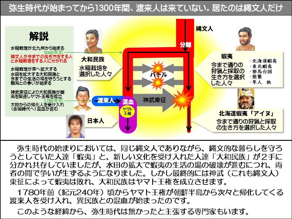 弥生時代が始まってから1300年間、渡来人は来ていない。居たのは縄文人だけ

解説

水稲栽培が北九州から始まる

3000年前。

縄文人が今までの生き方をする人と水稲栽培をする人に分かれるする人

水稲栽培が東へ拡大する水田を拡大する大和民族と今までの生活の場を守ろうとする蝦夷との争いが始まる

神武東征により大和民族が蝦夷を駆逐しヤマト王権を成立

1780年前大陸からの帰化人を受け入れ (古墳時代へ)混血が進む

大和民族

水稲栽培を選択した人々

渡来人

混血

ヤマト王権

日本人

縄文人

分離

バトル

神武東征

蝦夷

今まで通りの狩猟と採取の生き方を選択した人々

北海道蝦夷

・東北蝦夷

・邪馬台国

熊襲

隼人他

北海道蝦夷「アイヌ」

今まで通りの狩猟と採取の生き方を選択した人々

弥生時代の始まりにおいては、同じ縄文人でありながら、縄文的な暮らしを守ろうとしていた人達「蝦夷」と、新しい文化を受け入れた人達「大和民族」が2手に分かれ共存していましたが、水田の拡大で蝦夷の生活の場の破壊が進むにつれ、両者の間で争いが生ずるようになりました。しかし最終的には神武(これも縄文人) 東征によって蝦夷は敗れ、大和民族はヤマト王権を成立させます。

1780年前(紀元240年)頃からヤマト王権が朝鮮半島から次々と帰化してくる渡来人を受け入れ、異民族との混血が始まったのです。

このような経緯から、弥生時代は無かったと主張する専門家もいます。
