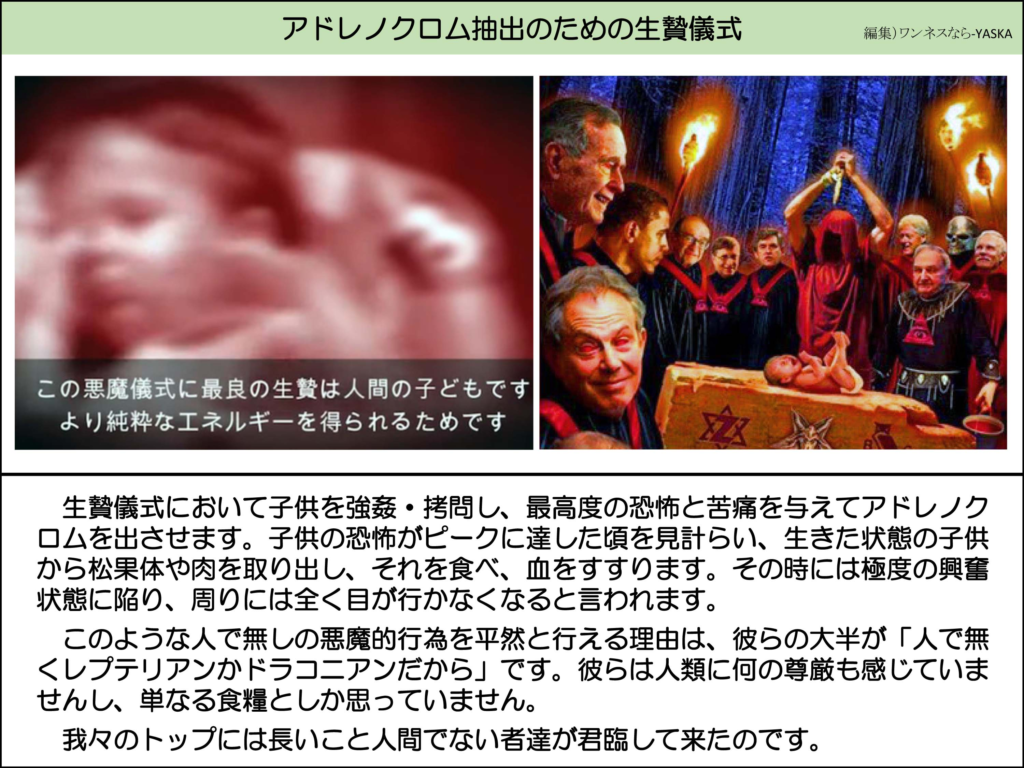 アドレノクロム抽出のための生贄儀式

この悪魔儀式に最良の生贄は人間の子どもですより純粋なエネルギーを得られるためです

生贄儀式において子供を強姦・拷問し、最高度の恐怖と苦痛を与えてアドレノクロムを出させます。子供の恐怖がピークに達した頃を見計らい、生きた状態の子供から松果体や肉を取り出し、それを食べ、血をすすります。その時には極度の興奮状態に陥り、周りには全く目が行かなくなると言われます。

このような人で無しの悪魔的行為を平然と行える理由は、彼らの大半が「人で無くレプテリアンかドラコニアンだから」です。彼らは人類に何の尊厳も感じていませんし、単なる食糧としか思っていません。

我々のトップには長いこと人間でない者達が君臨して来たのです。