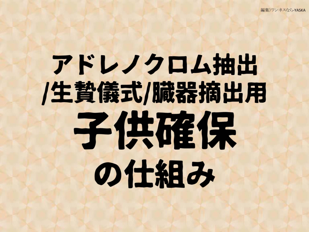 アドレノクロム抽出 /生贄儀式/臓器摘出用

子供確保の仕組み