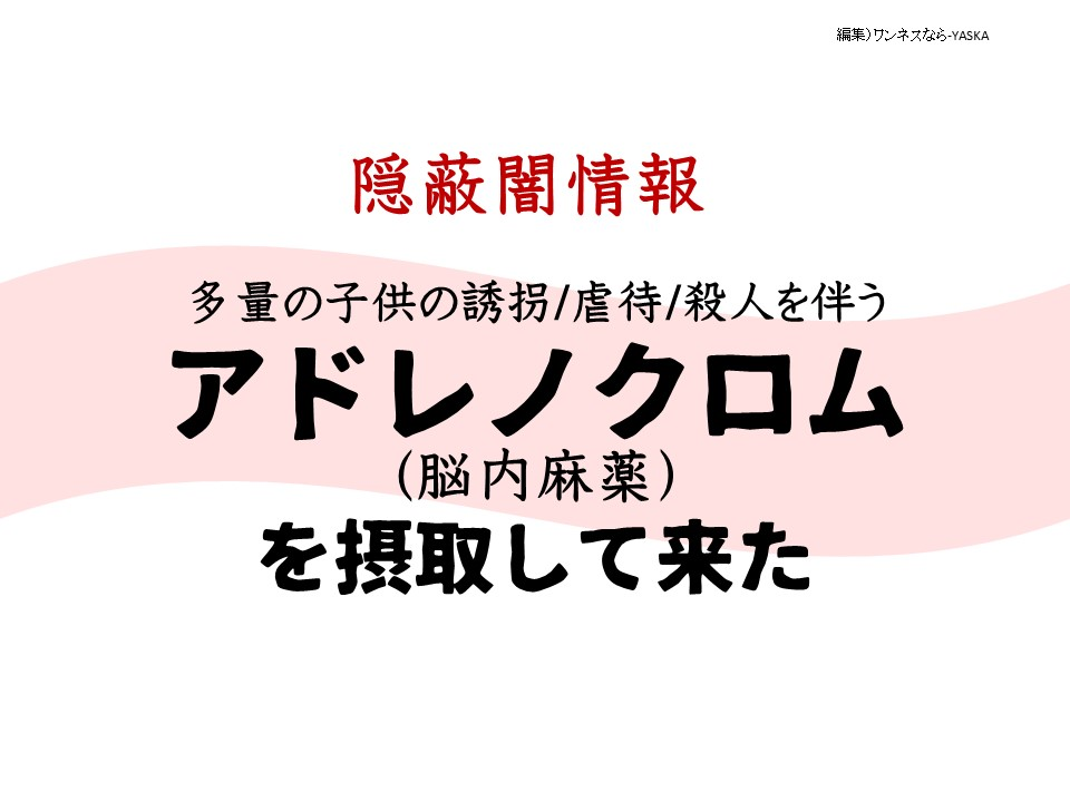 隱蔽闇情報

多量の子供の誘拐/虐待/殺人を伴う

アドレノクロム (脳内麻薬) を摂取して来た