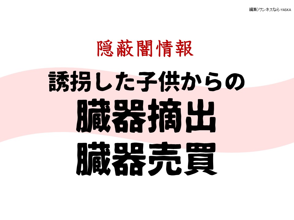 隱蔽闇情報

誘拐した子供からの臓器摘出臓器売買