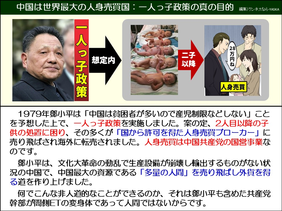 中国は世界最大の人身売買国:一人っ子政策の真の目的

一人っ子政策

想定内

二子以降

28万円ね

人身売買

1979年鄧小平は「中国は貧困者が多いので産児制限などしない」ことを予想した上で、一人っ子政策を実施しました。案の定、2人目以降の子供の処置に困り、その多くが「国から許可を得た人身売買ブローカー」に売り飛ばされ海外に転売されました。人身売買は中国共産党の国営事業なのです。

鄧小平は、文化大革命の動乱で生産設備が崩壊し輸出するものがない状況の中国で、中国最大の資源である「多量の人間」を売り飛ばし外貨を得る道を作り上げました。

何でこんな非人道的なことができるのか、それは鄧小平も含めた共産党幹部が闇側ETの変身体であって人間ではないからです。