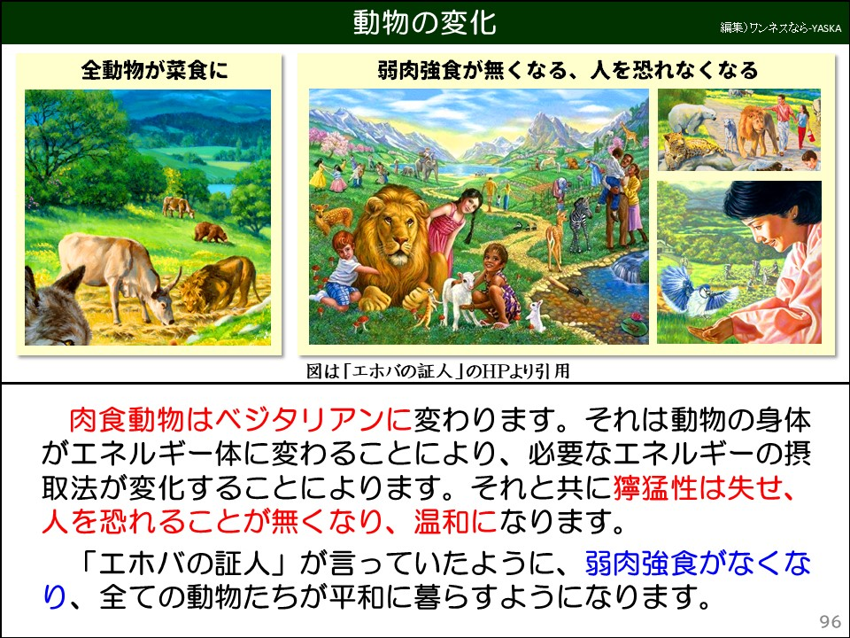 動物の変化

全動物が菜食に

弱肉強食が無くなる、人を恐れなくなる

図は「エホバの証人」のHPより引用

肉食動物はベジタリアンに変わります。それは動物の身体がエネルギー体に変わることにより、必要なエネルギーの摂取法が変化することによります。それと共に獰猛性は失せ、人を恐れることが無くなり、温和になります。

「エホバの証人」が言っていたように、弱肉強食がなくなり、全ての動物たちが平和に暮らすようになります。