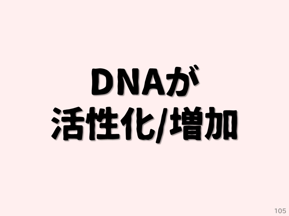 DNAが活性化/増加
